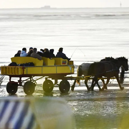 Am Sahlenburger As33